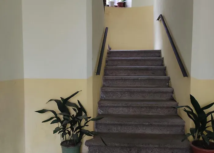 公寓 Serra's House 塞拉圣布鲁诺